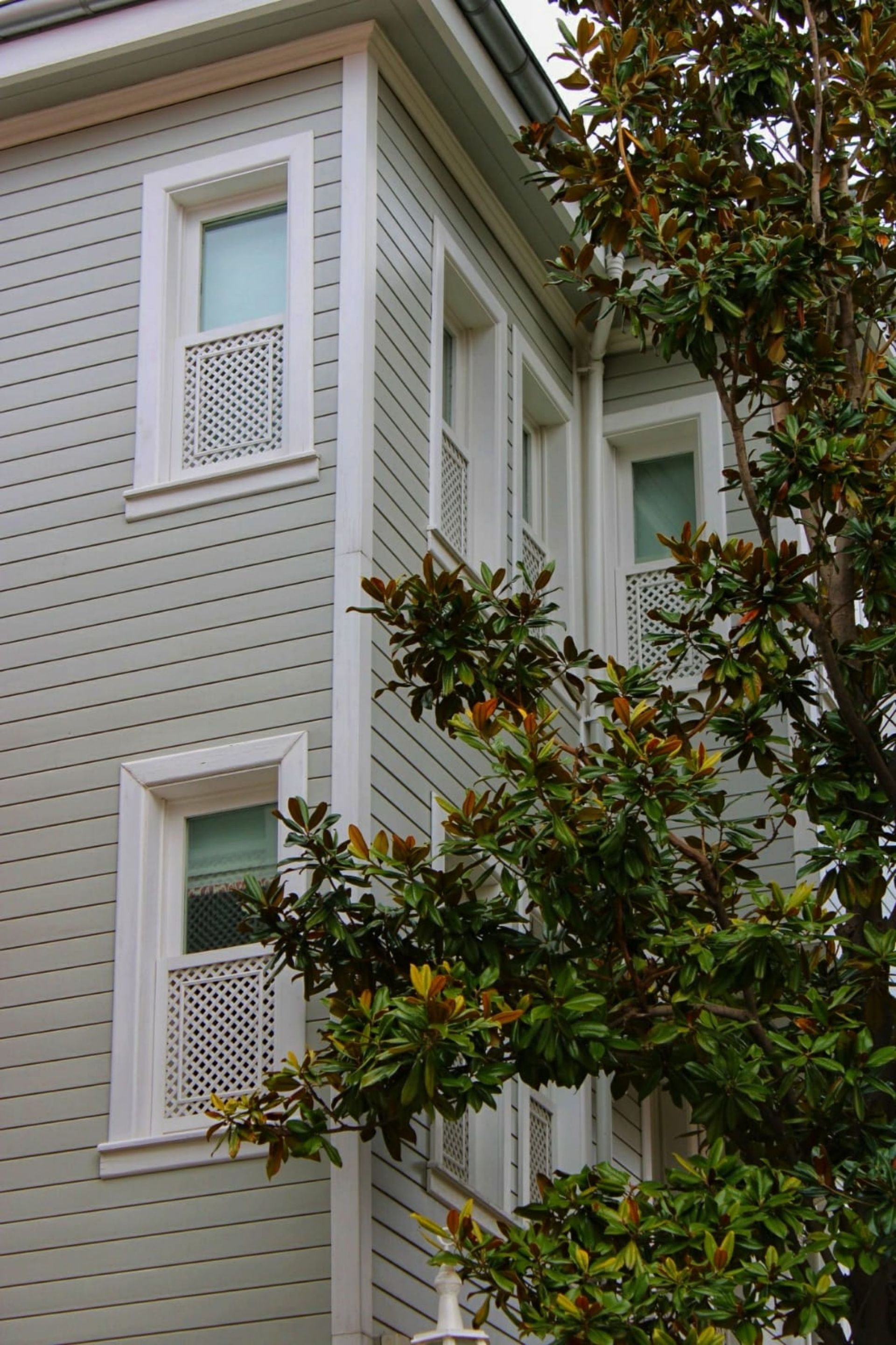 A corner view of a modern white house exterior with lush green plants.